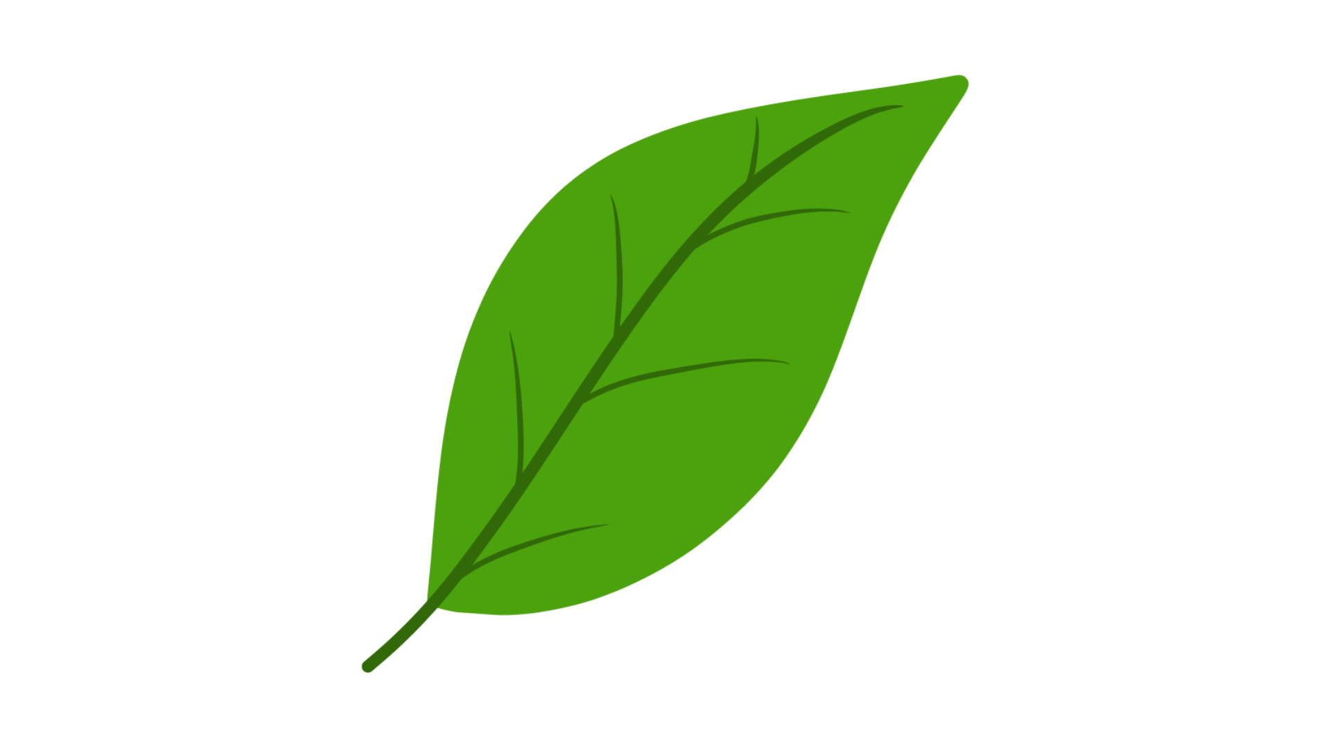 daun-png-vector