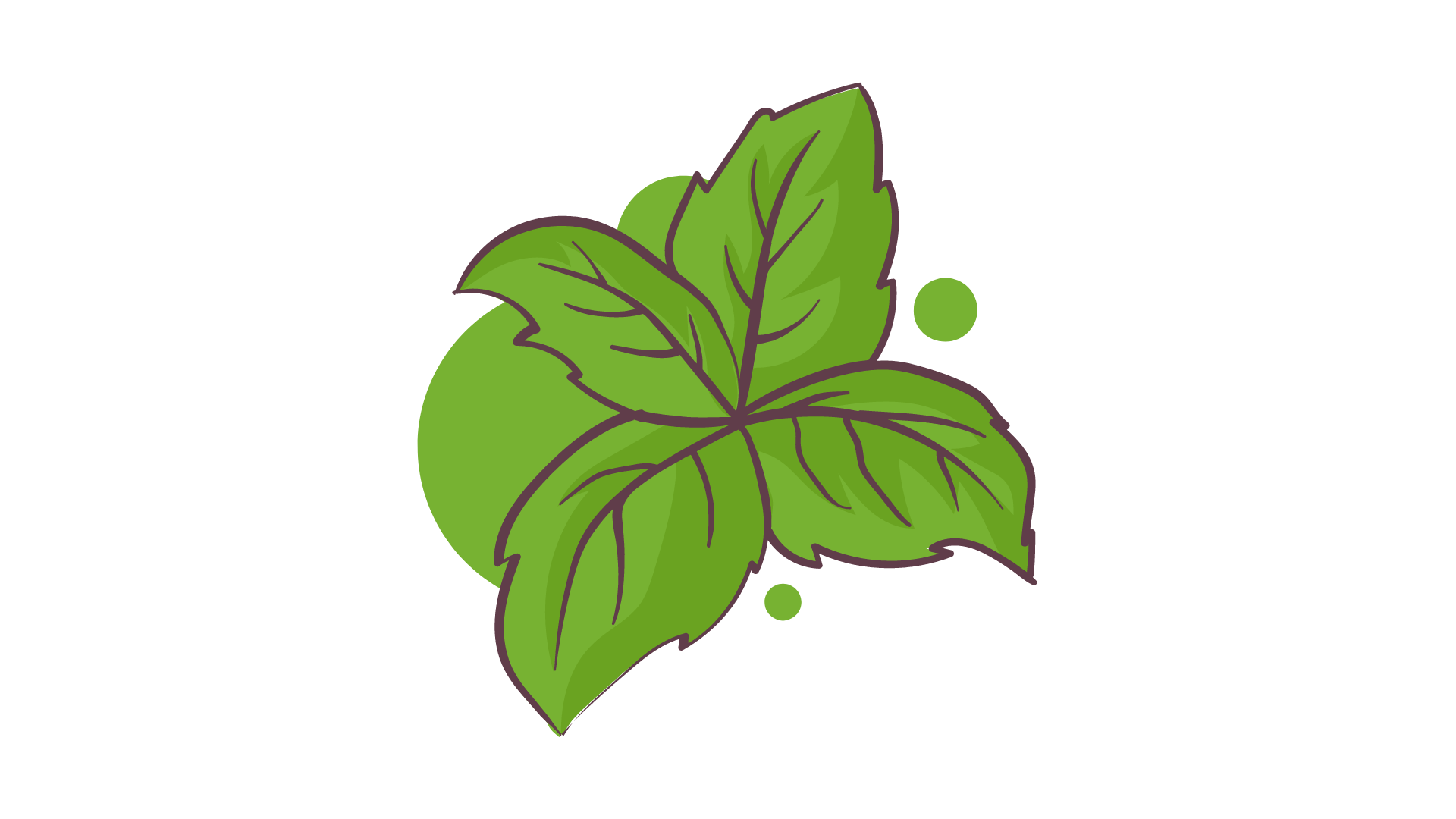 vector-daun-png