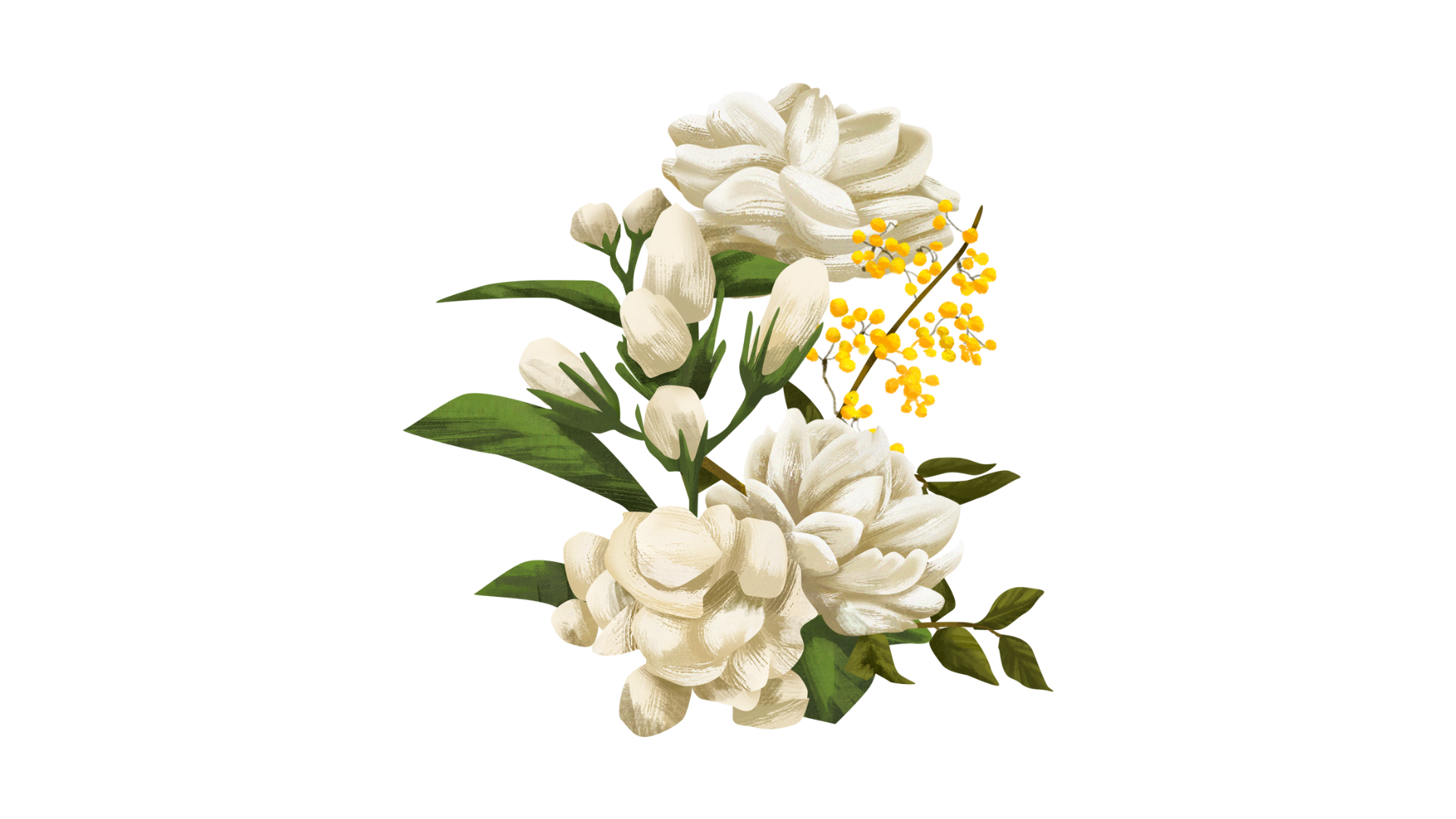 blooming-flowers-png-images