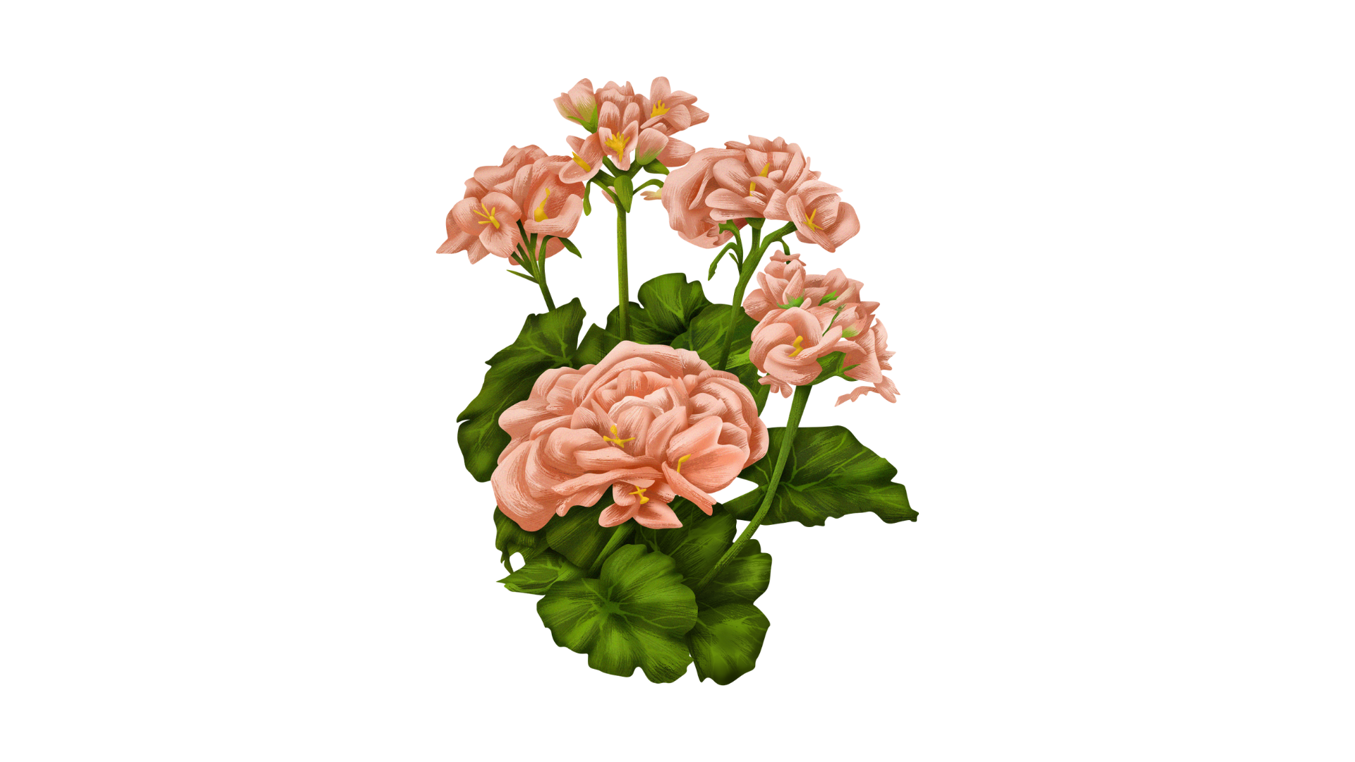 flower-clipart-png-images