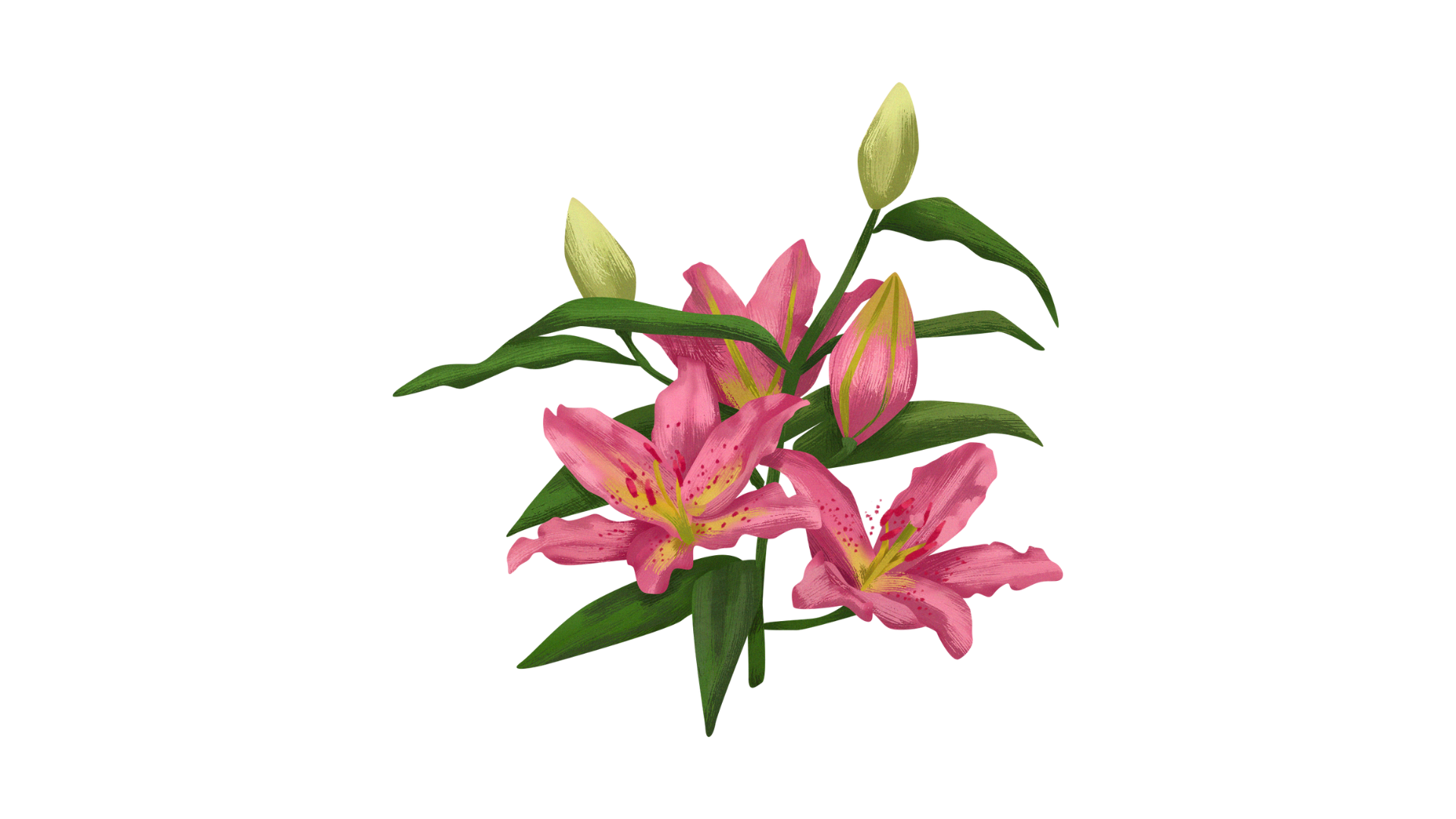 garden-flower-png