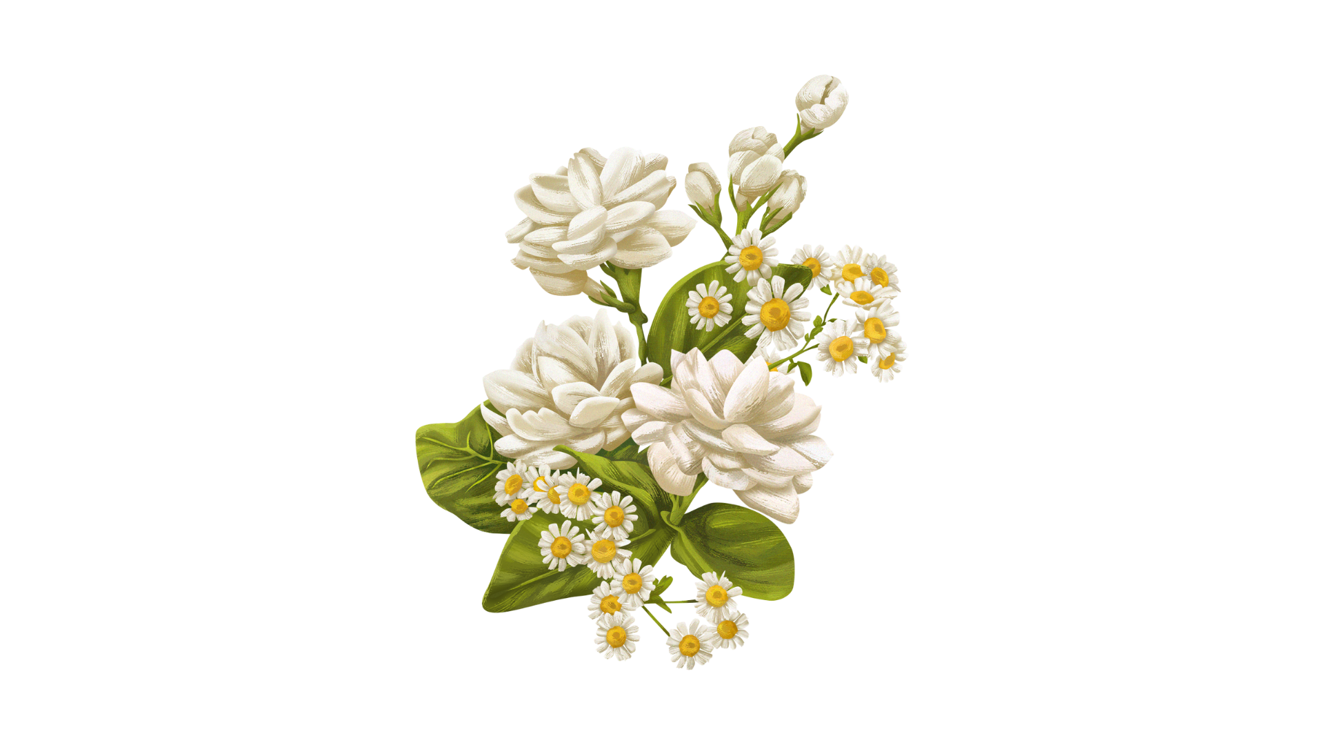 flower-clipart-png