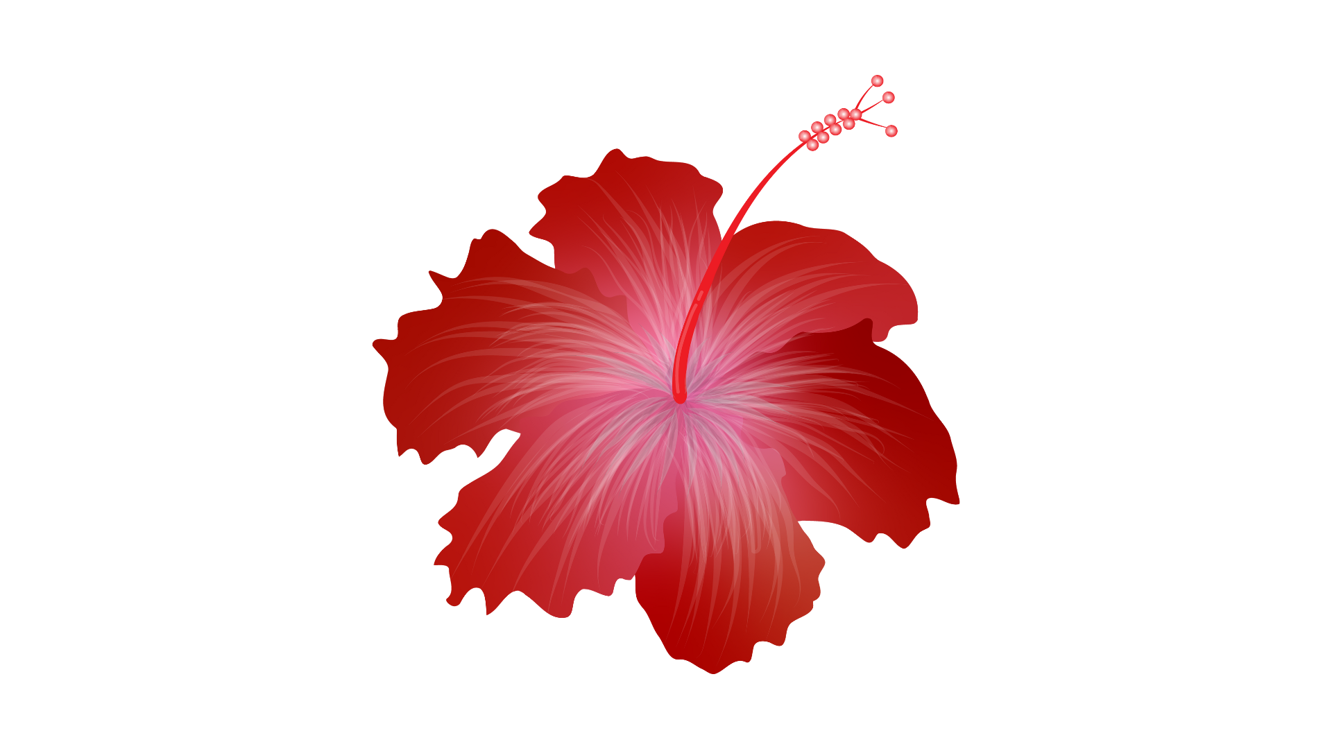 flower-transparent-png-images