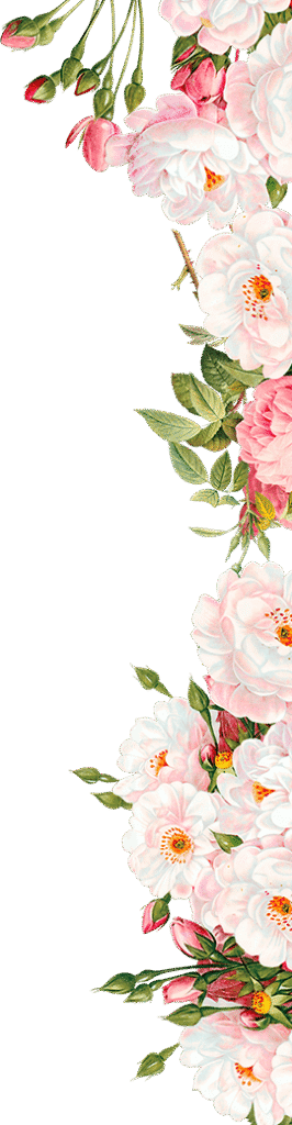 Pink flowers Wedding invitation, Pink flowers, pink and white rose flower arrangement, watercolor Painting, flower Arranging, branch png