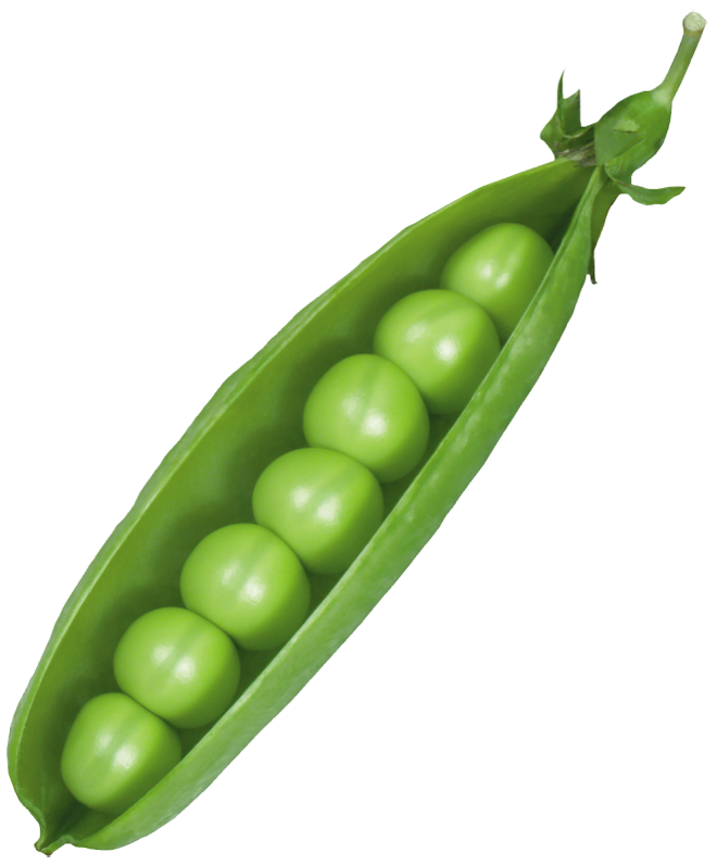 Pea Pod, peas, natural Foods, food png free download