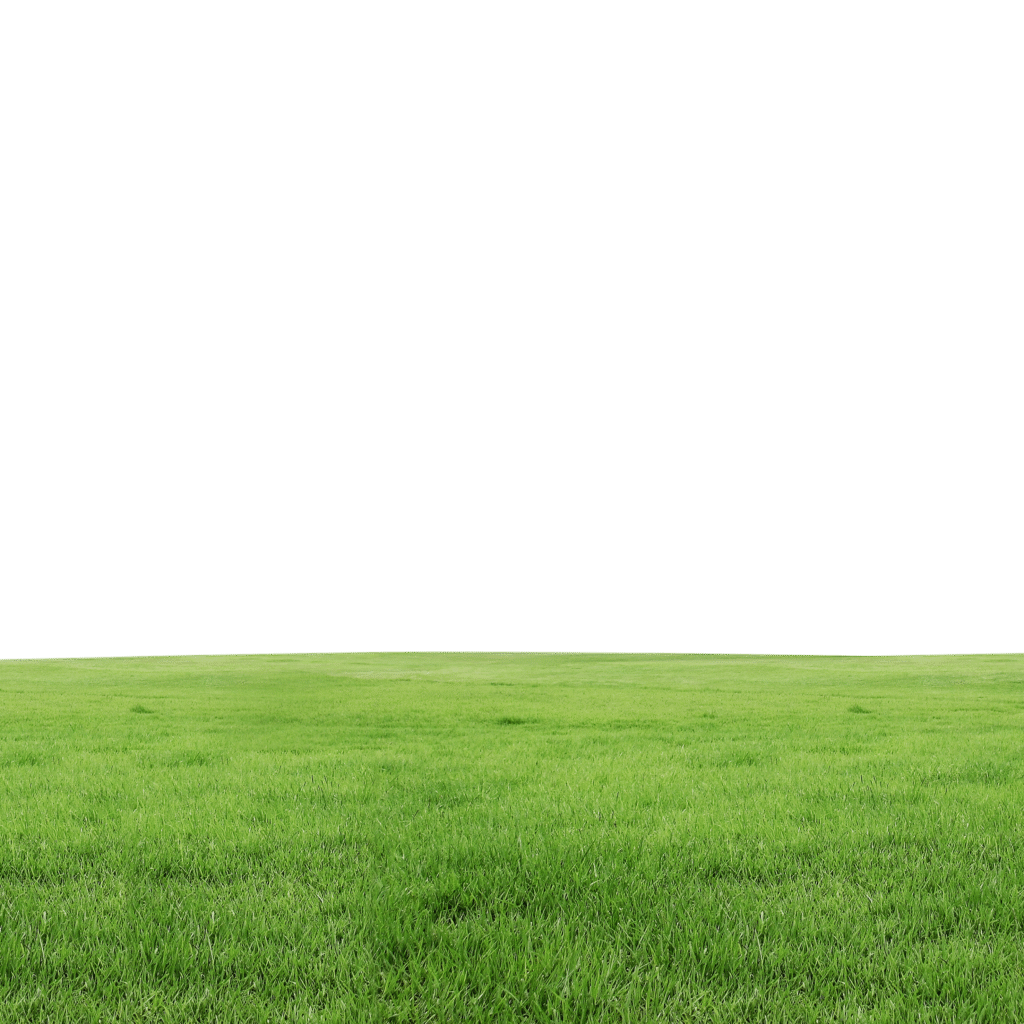 field of grass, Lawn, Grass, landscape, computer Wallpaper, grass png