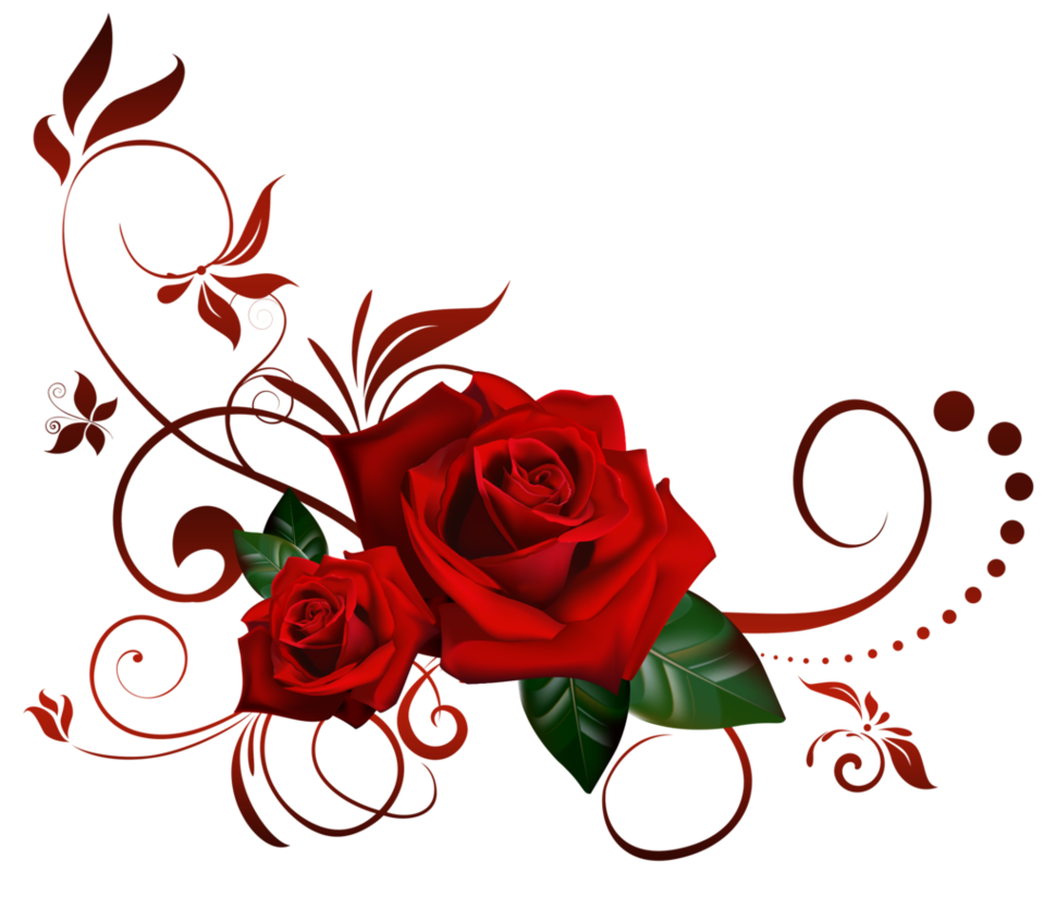 Red rose, Rose, Rose Corner s, love, flower Arranging, presentation png