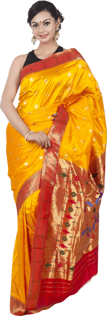 Wedding Saree PNG
